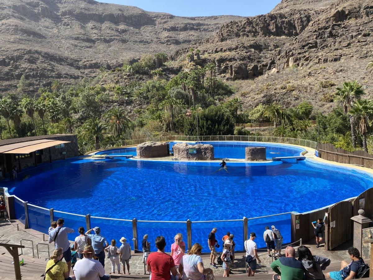 Gran Canaria Casa Magboss I By Jacek Budek 马斯帕洛马斯 外观 照片